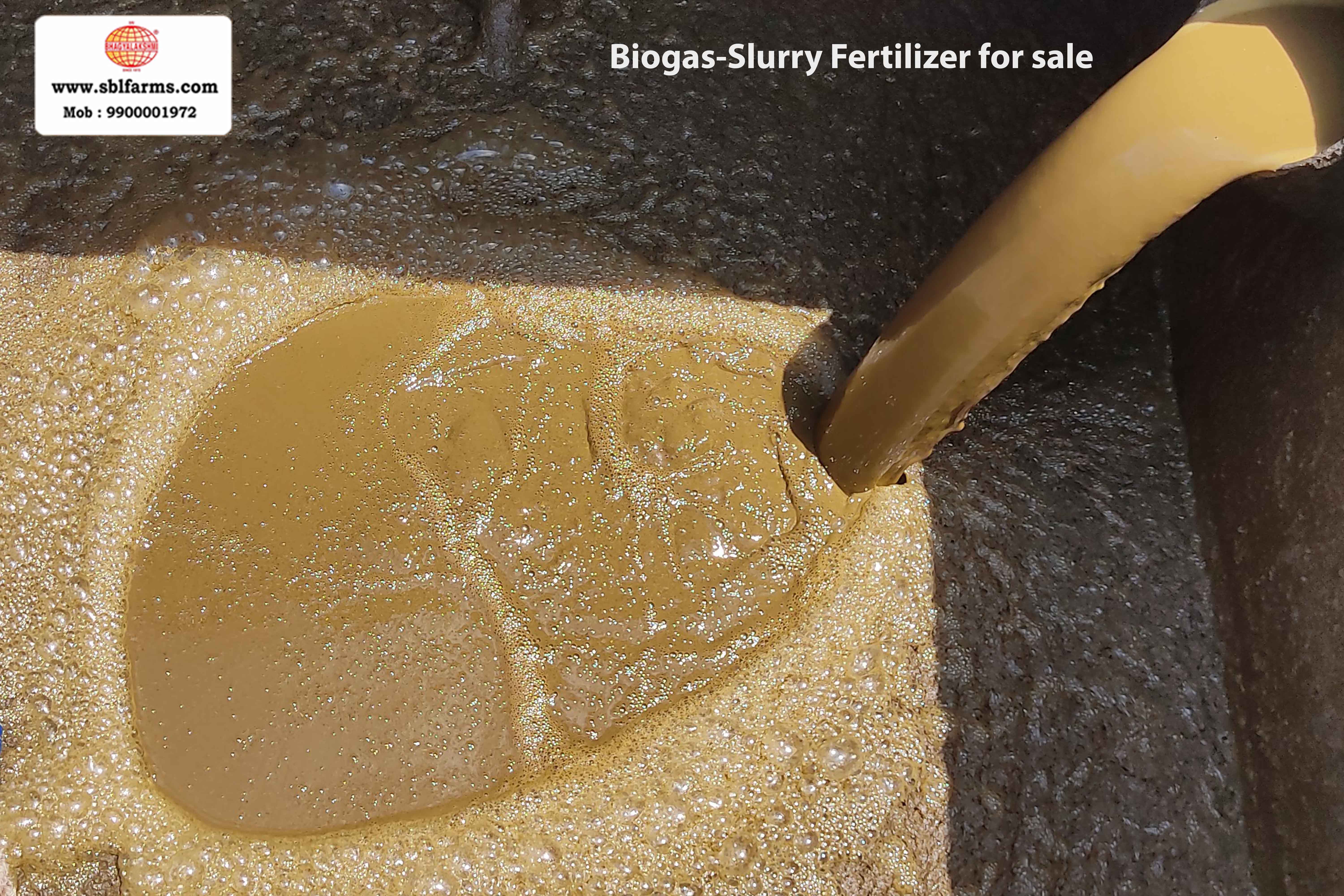 Sri Bhagyalakshmi Farms Bangalore - biogas-slurry fertilizer | Slurry Fertilizer for Sale  |  Fertilizer for vegetable better growth | bioslurry manufacturers, suppliers & exporters in Bangalore|Bio slurry for sale in bangalore |  Sri Bhagyalakshmi Farms fertilizer slurry Bangalore | Bioslurry a supreme fertiliser | slurry fertilizer near me bangalore | slurry fertilizer near me bangalore contact number | manure fertilizer for sale in bangalore | Organic Manure for sale | biogas slurry uses | biogas slurry composition | organic fertilizer price per kg | biogas slurry meaning | organic fertilizer price in india | organic fertilizer price per ton | Sri Bhagyalakshmi Farms, Cow Dung Manure Organic Fertilizer Suppliers in Bangalore